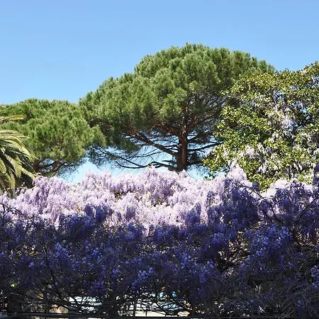 Hotel Residence Moneglia 아파트호텔