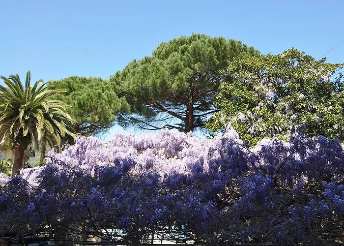 Hotel Residence Moneglia Lejlighedshotel